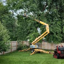 Best Lawn Mowing  in Dunkirk, MD