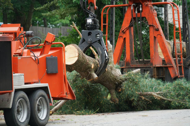 Best Lawn Irrigation Installation and Maintenance  in Dunkirk, MD